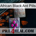 African Black Ant Pills 38
